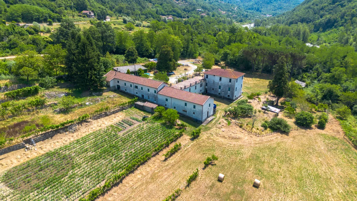 Agenzia Immobiliare Delfino Real Estate