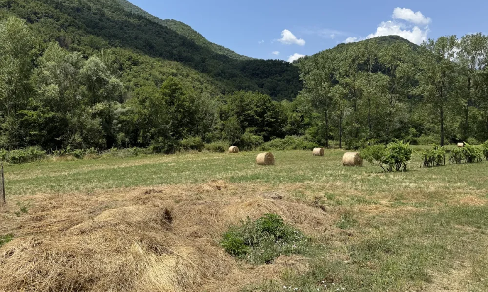 00107-varese-ligure-tenuta-campanile-001