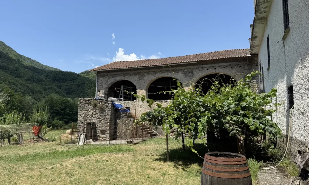 00107-varese-ligure-tenuta-campanile-004