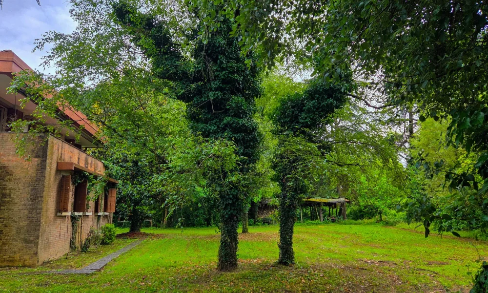r.00102-villa-mestre-la-favorita-02