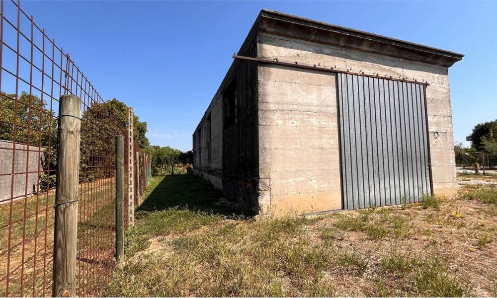 Vendita San Giorgio in Bosco Capannone da Riqualificare su Ampio Lotto