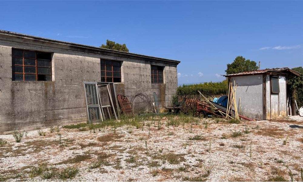 Vendita San Giorgio in Bosco Capannone da Riqualificare su Ampio Lotto