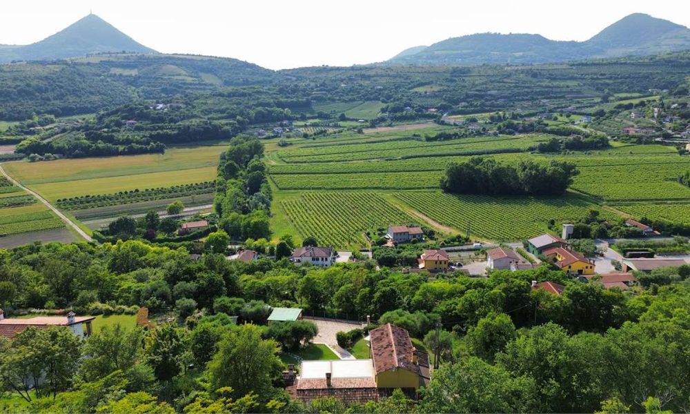 Vendita Arquà Petrarca Un Dialogo Esclusivo tra Architettura e Natura