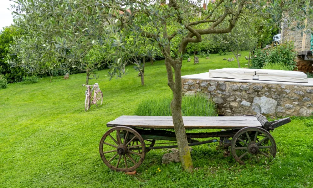 villa asa slovenia sezana 21