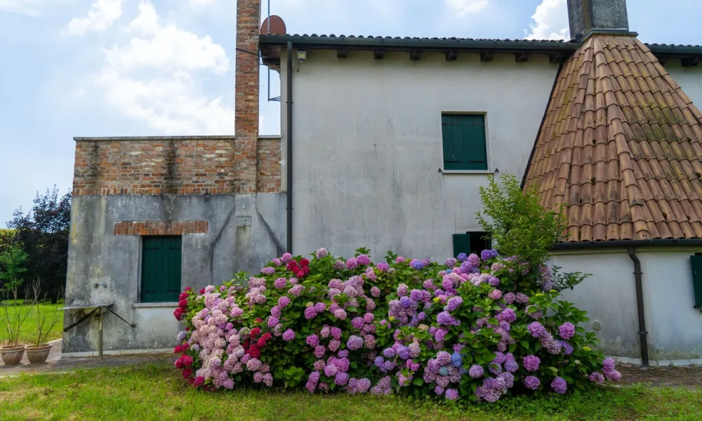villa-zerman-mogliano-veneto-varie-unita-terreniannessi-00100-03