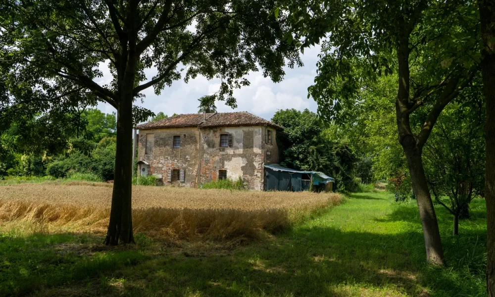 villa-zerman-mogliano-veneto-varie-unita-terreniannessi-00100-05