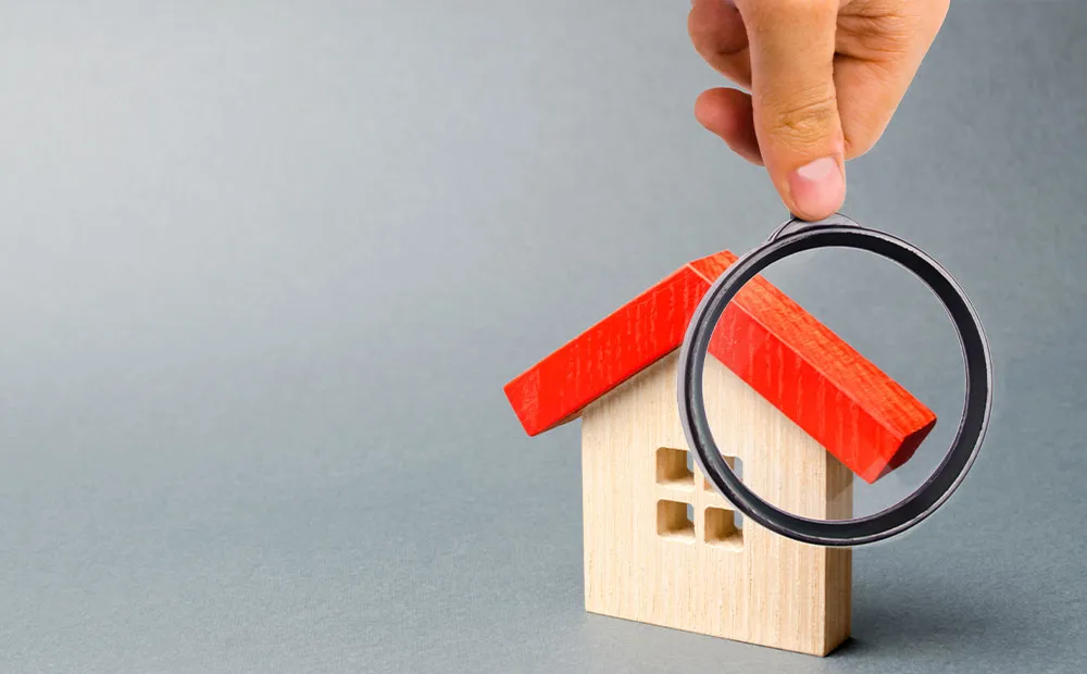 La Storia di Rossella: Un Viaggio di Consulenza Immobiliare Verso il Successo La Storia di Rossella: Un Viaggio di Consulenza Immobiliare Verso il Successo